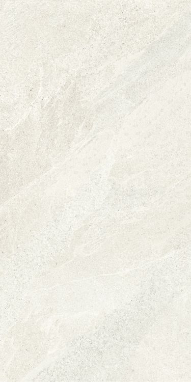 Tune Snow 24 x 48